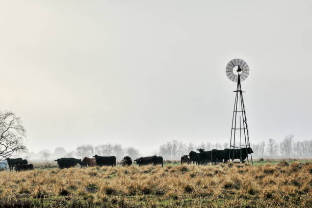 South of Wharton