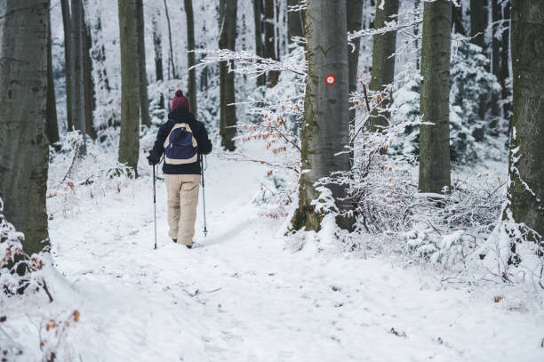 istock Hiking in winter forest 1339038740