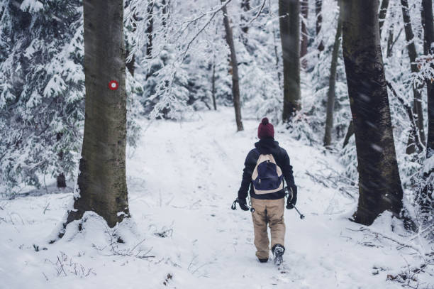 istock Hiking in snowstorm 1339038798