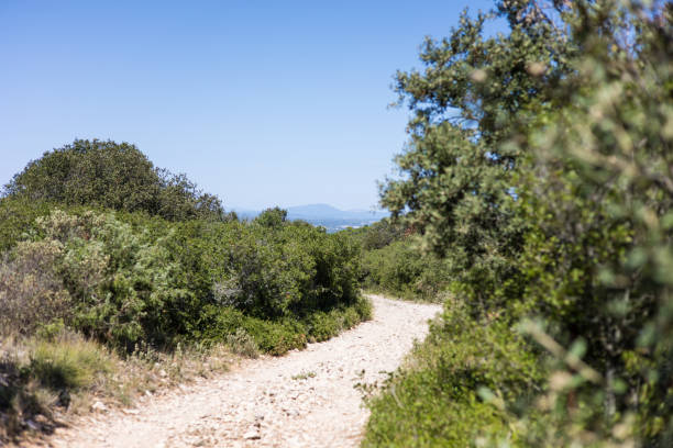 istock Hiking trail on the Massif de la Gardiole (Occitanie, France) 1339040111