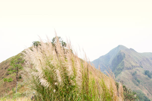 istock Khao Chang Phuak Mountain - Kanchanaburi 1339040830