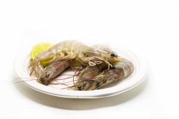 gambas tigre grises en un plato de marisco fresco con cuña de limón - 11981 fotografías e imágenes de stock