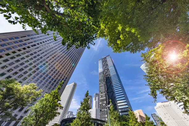 istock Tokyo buildings illuminated by the refreshing morning light 1339042328
