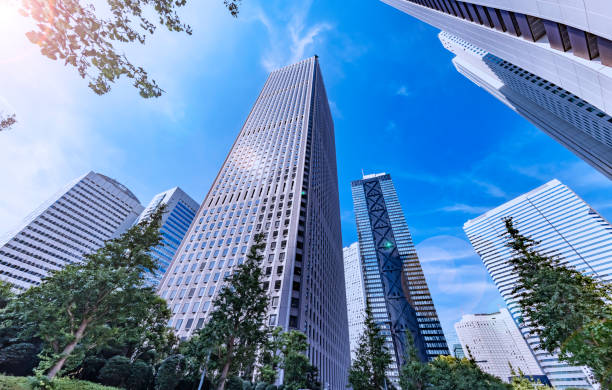 istock Tokyo buildings illuminated by the refreshing morning light 1339042347