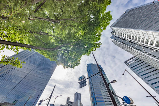 istock Tokyo buildings illuminated by the refreshing morning light 1339042945