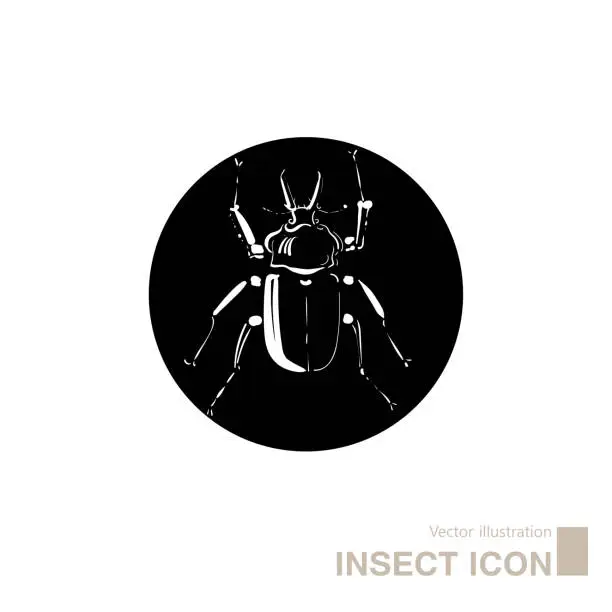 Vector illustration of Vector drawn insect icon.