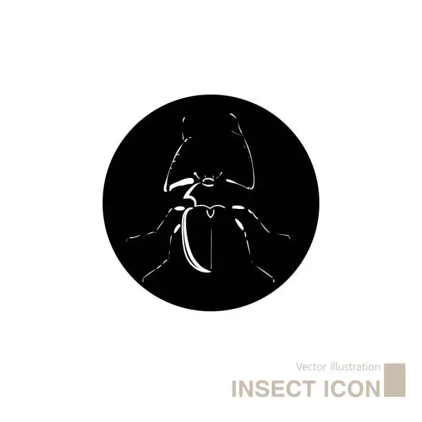 Vector illustration of Vector drawn insect icon.