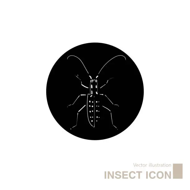 Vector illustration of Vector drawn insect icon.