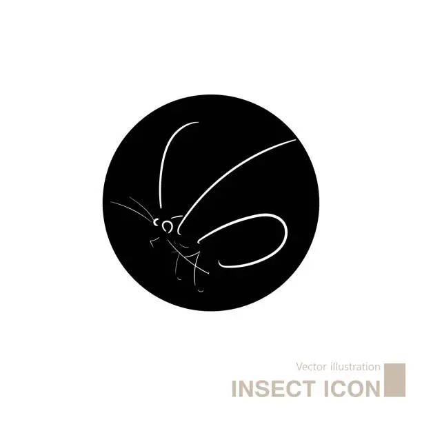 Vector illustration of Vector drawn insect icon.