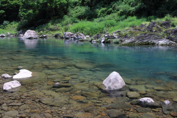 istock Nahari River,Clarity,Summer (from the Horigao subsidence bridge in Kitagawa village, Kochi prefecture) 1339043571
