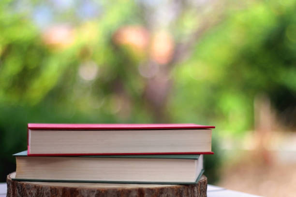 istock Books in a garden 1339047865