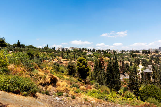 istock Scenic Jerusalem Summer Landscape 1339048791