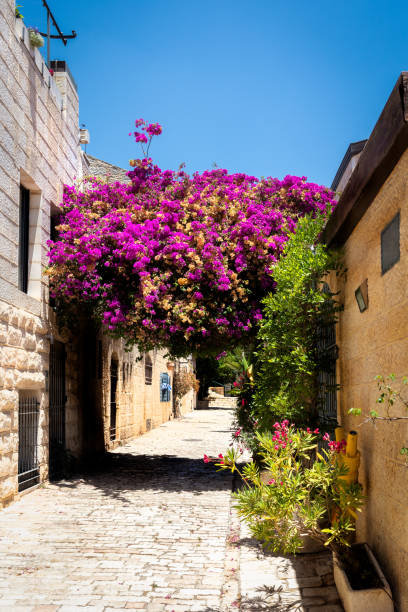 istock Yemin Moshe Lane in the Summer - Jerusalem 1339048870