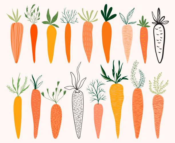 illustrazioni stock, clip art, cartoni animati e icone di tendenza di collezione carrot con diversi elementi di design, isolati - carrot