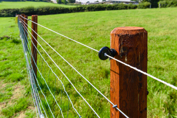 fio de cerca elétrica correndo ao longo de uma cerca no meio de um campo. - farm fence - fotografias e filmes do acervo