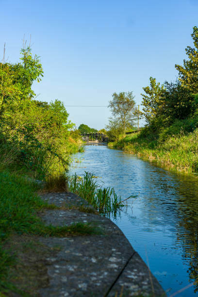 istock Looking along the Royal canal to Lock 25 1339054102