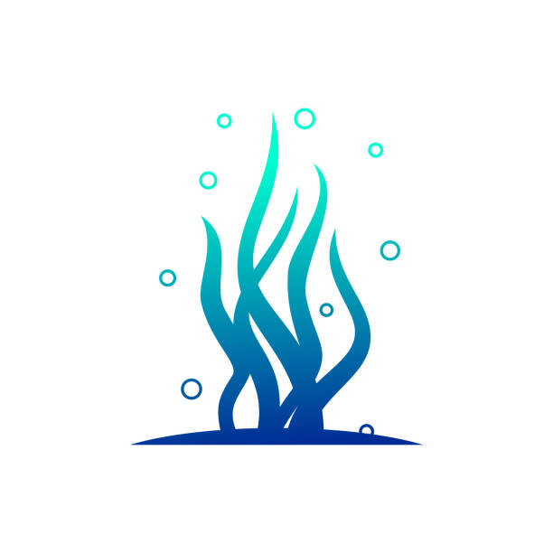 ilustrações, clipart, desenhos animados e ícones de modelo de logotipo do vetor do ícone marinho azul - water plant