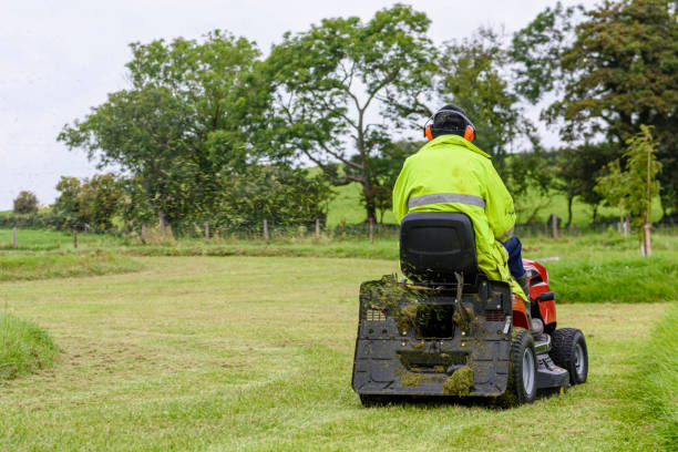 A man wearing a high-visibility jacket and ear defenders mows the grass in a large garden while sitting on a ride-on lawn mower A man wearing a high-visibility jacket and ear defenders mows the grass in a large garden while sitting on a ride-on lawn mower garden tractor stock pictures, royalty-free photos & images