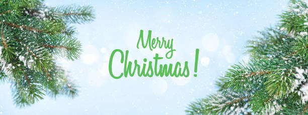 istock Christmas greeting card with fir tree branches covered by snow 1339055729