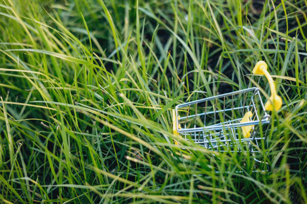 istock Sustainable consumption. Empty shopping cart on green grass background. Zero waste concept. Copy space. 1339057769