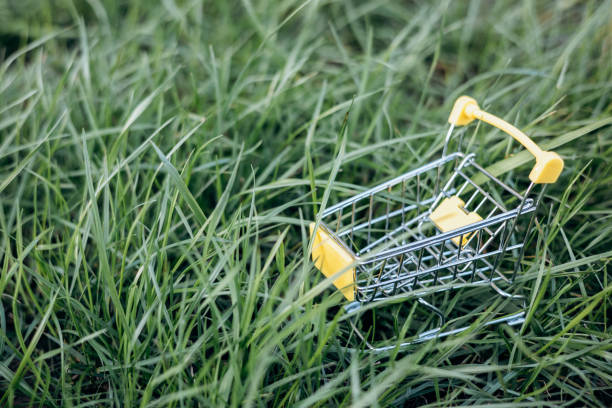 istock Sustainable consumption. Empty shopping cart on green grass background. Zero waste concept. Copy space. 1339057789
