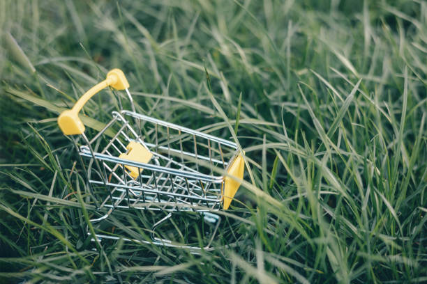 istock Sustainable consumption. Empty shopping cart on green grass background. Zero waste concept. Copy space. 1339057791