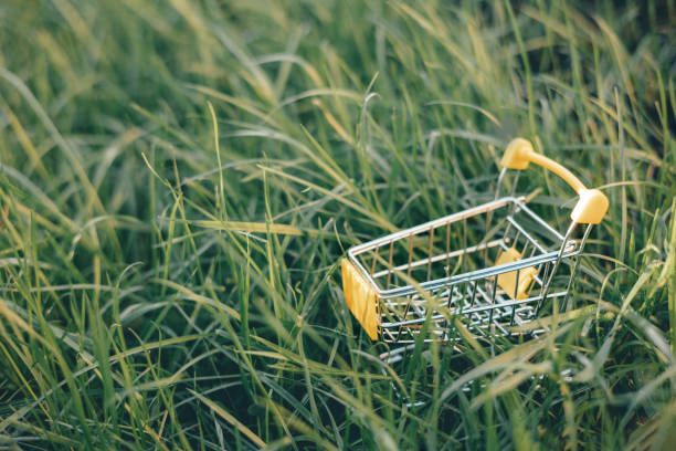 Sustainable consumption. Empty shopping cart on green grass background. Zero waste concept. Copy space.