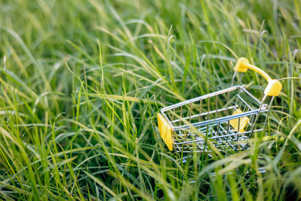 istock Sustainable consumption. Empty shopping cart on green grass background. Zero waste concept. Copy space. 1339057809