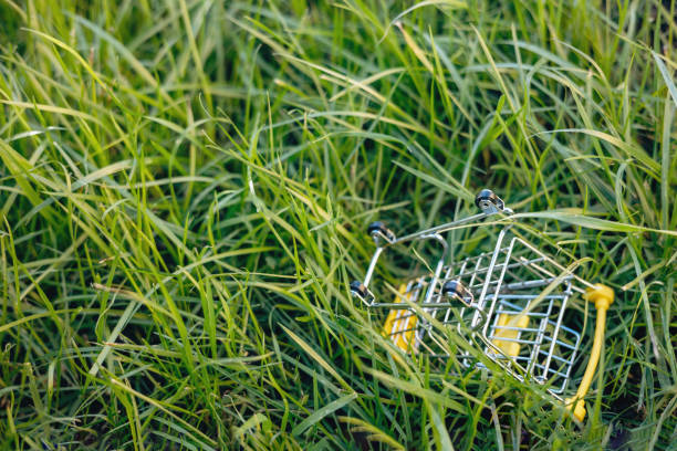 istock Sustainable consumption. Empty shopping cart on green grass background. Zero waste concept. Copy space. 1339057829