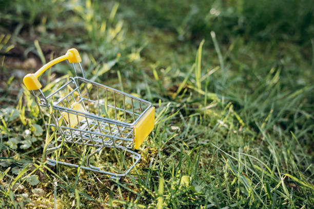 istock Sustainable consumption. Empty shopping cart on green grass background. Zero waste concept. Copy space. 1339057876