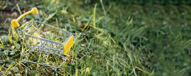 istock Sustainable consumption. Empty shopping cart on green grass background. Zero waste concept. Copy space. Banner 1339057881