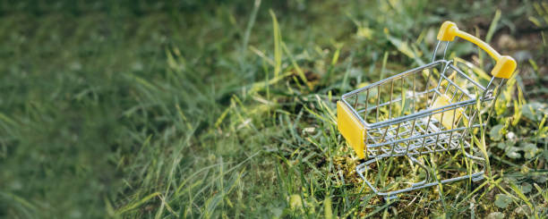 istock Sustainable consumption. Empty shopping cart on green grass background. Zero waste concept. Copy space. Banner 1339057886