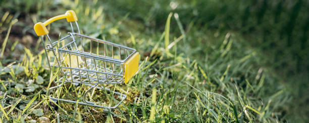 istock Sustainable consumption. Empty shopping cart on green grass background. Zero waste concept. Copy space. Banner 1339057910