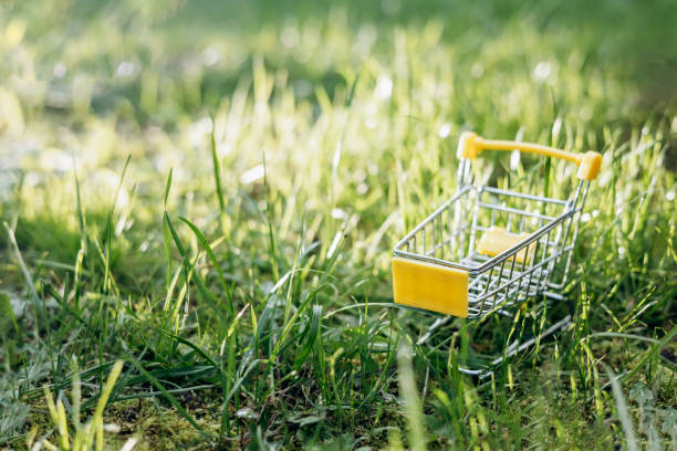 istock Sustainable consumption. Empty shopping cart on green grass background. Zero waste concept. Copy space. 1339057912