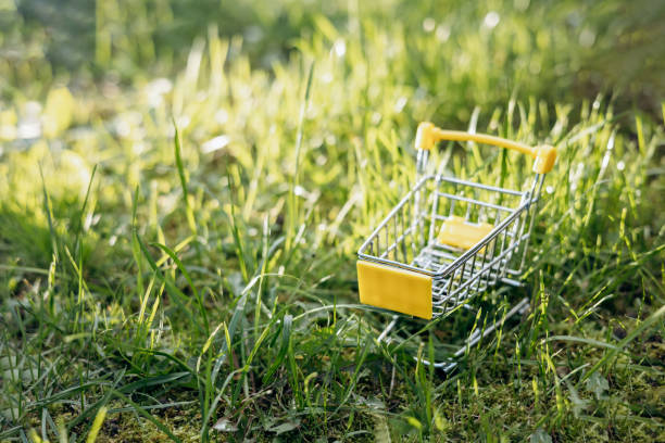 istock Sustainable consumption. Empty shopping cart on green grass background. Zero waste concept. Copy space. 1339057937