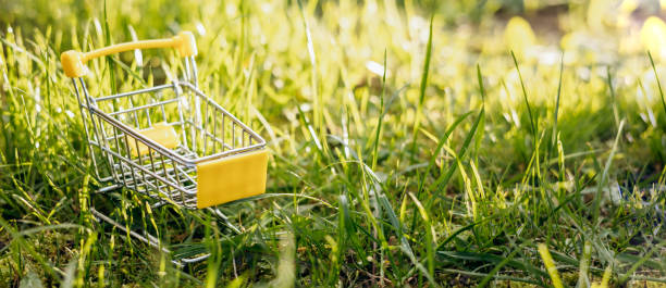 istock Sustainable consumption. Empty shopping cart on green grass background. Zero waste concept. Copy space. Banner 1339057963