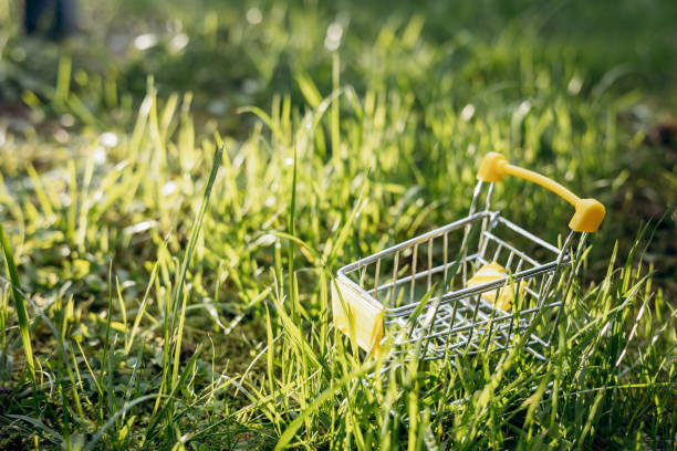 istock Sustainable consumption. Empty shopping cart on green grass background. Zero waste concept. Copy space. 1339057968
