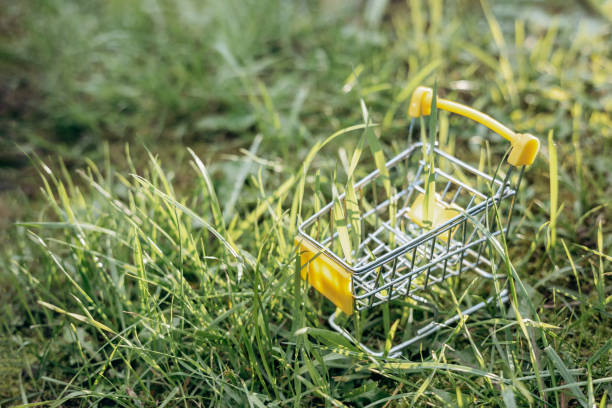 istock Sustainable consumption. Empty shopping cart on green grass background. Zero waste concept. Copy space. 1339058003