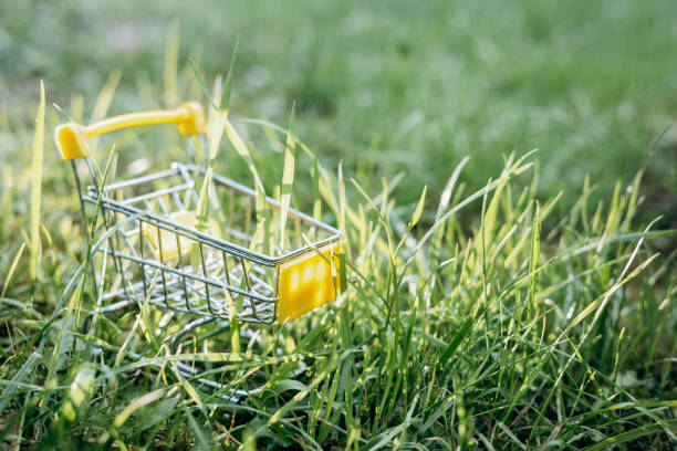 istock Sustainable consumption. Empty shopping cart on green grass background. Zero waste concept. Copy space. 1339058006