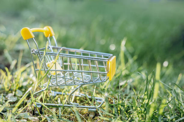 istock Sustainable consumption. Empty shopping cart on green grass background. Zero waste concept. Copy space. 1339058017