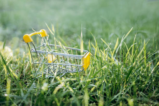 istock Sustainable consumption. Empty shopping cart on green grass background. Zero waste concept. Copy space. 1339058018