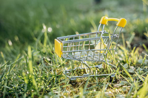 istock Sustainable consumption. Empty shopping cart on green grass background. Zero waste concept. Copy space. 1339058024