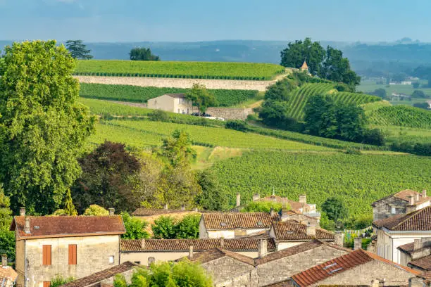 Photo of Vineyards on the hills of Saint-Emilion, Gironde, Nouvelle Aquitaine, France