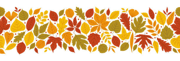 ilustraciones, imágenes clip art, dibujos animados e iconos de stock de fondo brillante otoñal con hojas variadas, vector. - elm leaves