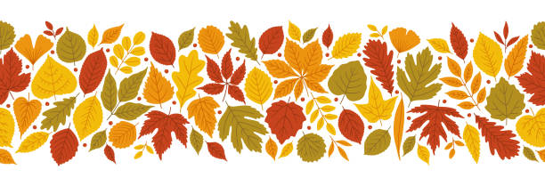 illustrations, cliparts, dessins animés et icônes de fond lumineux d’automne avec des feuilles variées, vecteur. - elm leaves