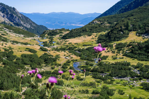 valle y laderas de montaña en el parque nacional de pirin, bulgaria. - european alps europe high up lake fotografías e imágenes de stock