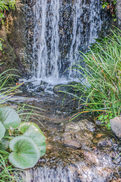 istock Close Up Of A Small Waterfall 1339065170