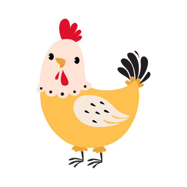 ilustraciones, imágenes clip art, dibujos animados e iconos de stock de gallina emplumada como ave de granja aislada sobre fondo blanco ilustración vectorial - animal husbandry illustrations