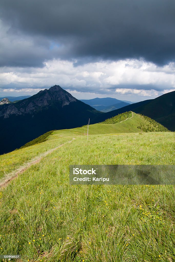 Mala Fatra National Park Mala Fatra. Mountain Velky Rozsutec in Slowakia. Cloud - Sky Stock Photo