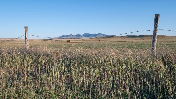 istock Hay Bales and the Sweet Grass Hills (Sweetgrass Hills) 1339068040